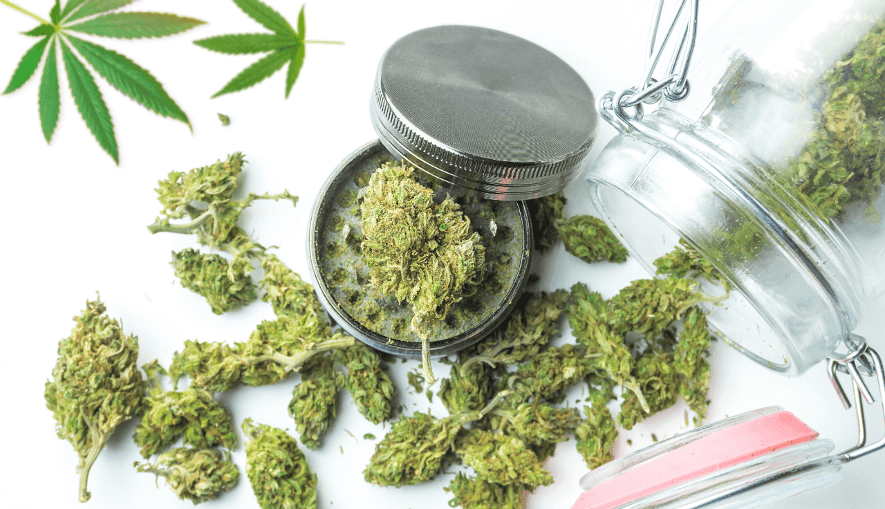 Geöffnete Cannabisdose mit Cannabisblüten ringsherum