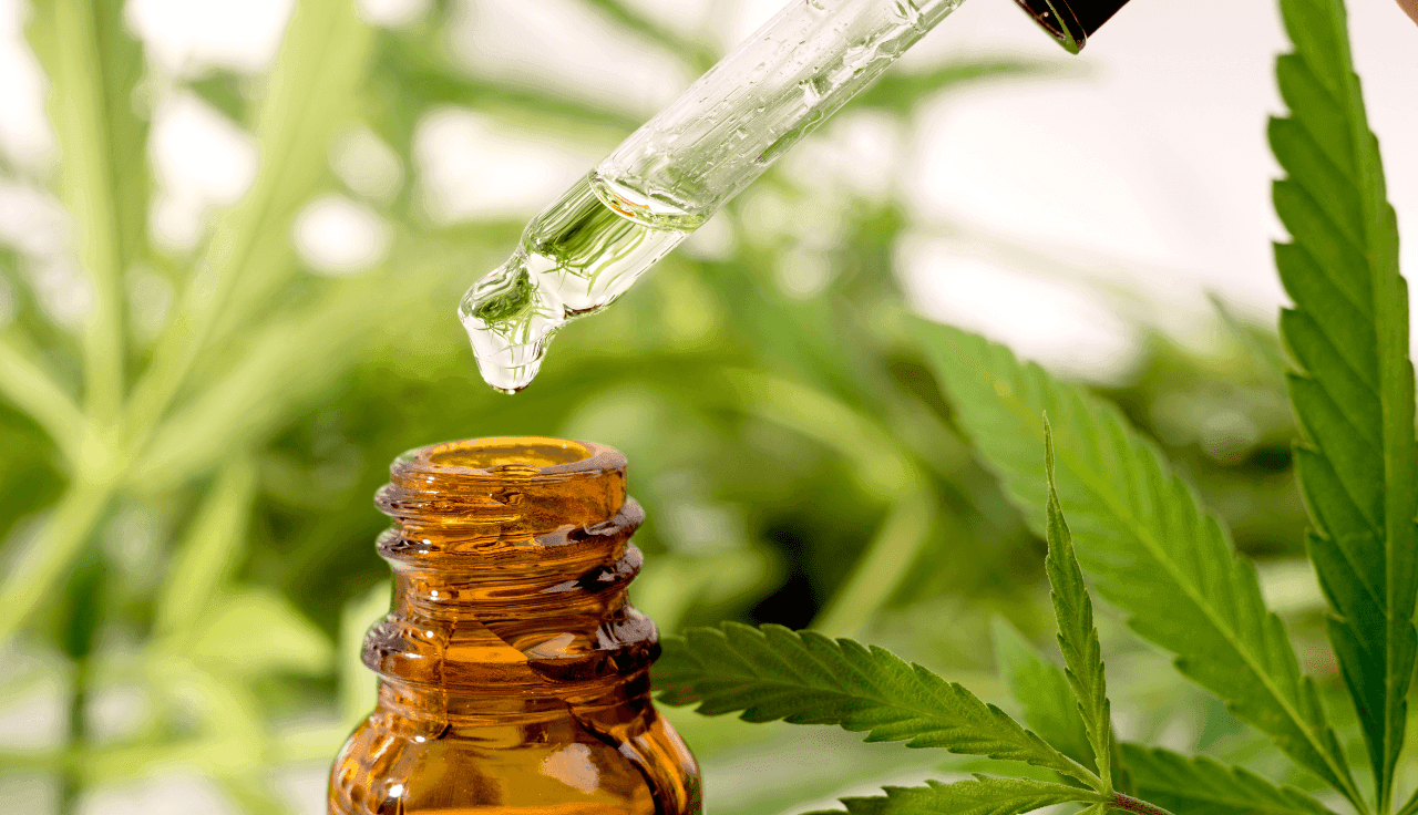 Pipette tropft etwas in ein Gläschen im Hintergrund sind Cannabispflanzen